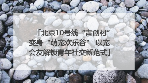 北京10号线“青创村”变身“萌宠欢乐谷” 以宠会友解锁青年社交新范式